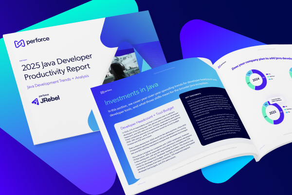 2025 Java Developer Productivity Report​
