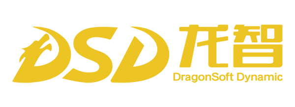 上海龙智数码科技股份有限公司 Shanghai DragonSoft Digital Technology Co., Ltd