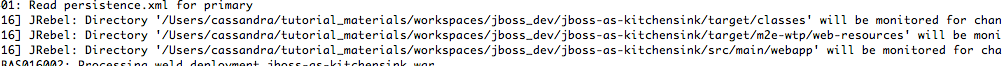 jrebel-monitoring-dirs-log jrebel-monitoring-dirs-log