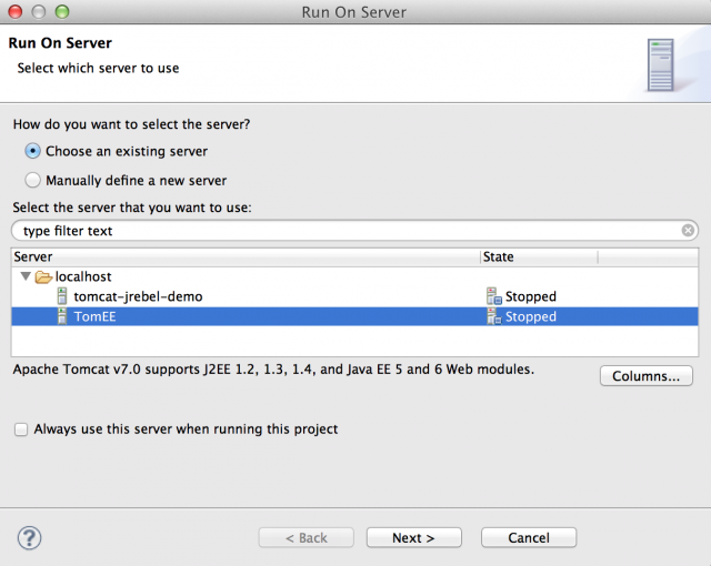 screenshot of Apache TomEE run on server selection window