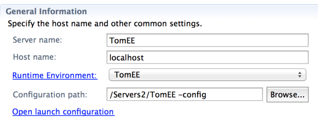 screenshot of TomEE server configuration window