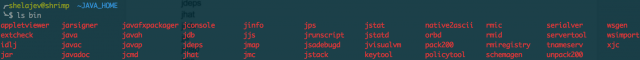 jdk-tools list