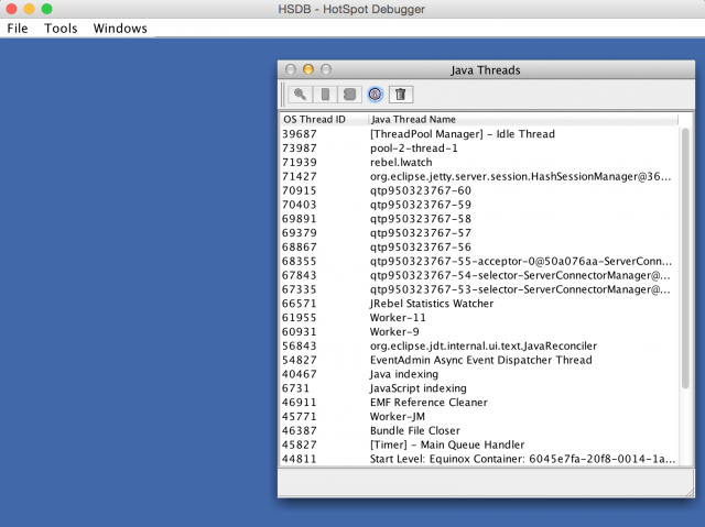 HotSpot Debugger Start View